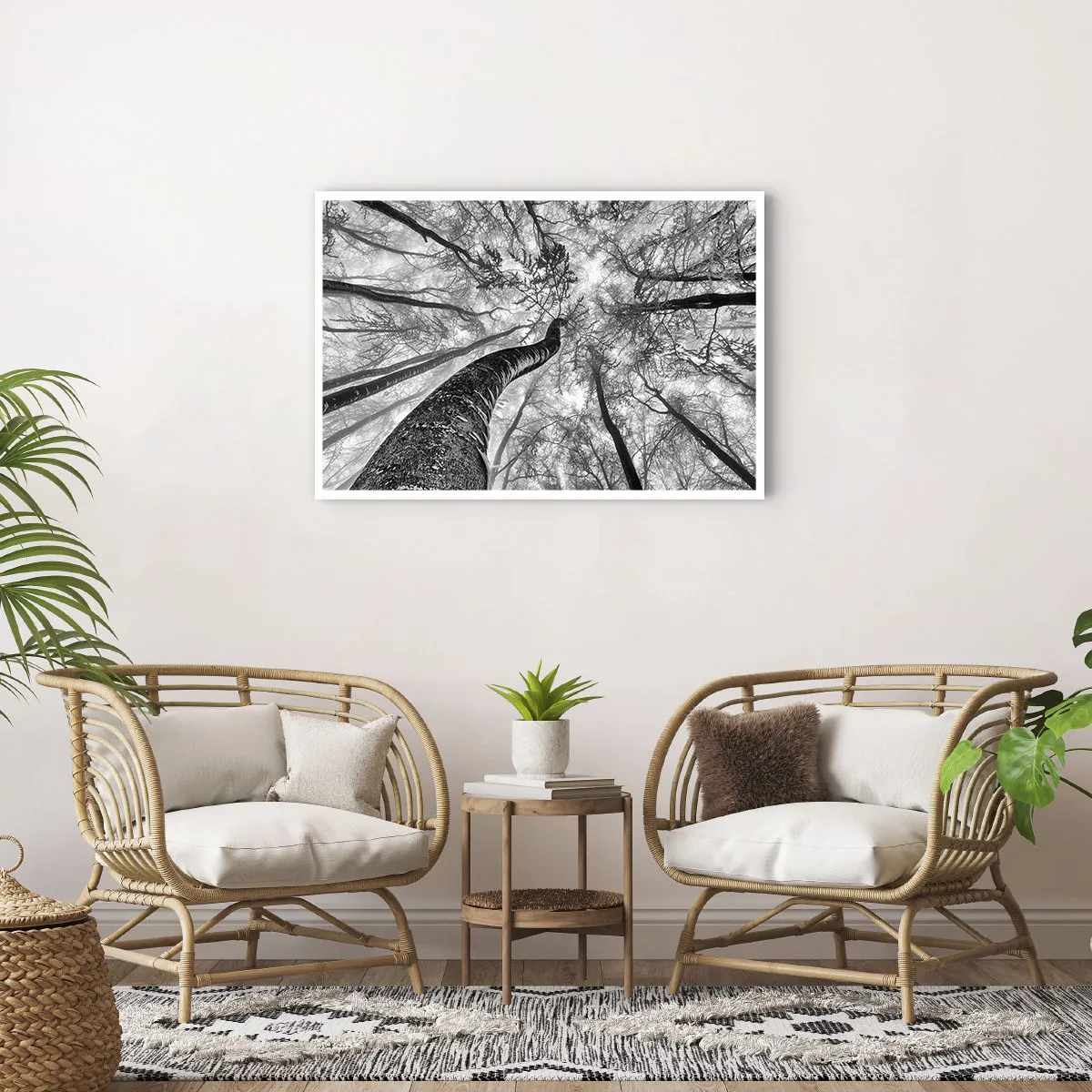 Poster - Race for the Light - 91x61 cm