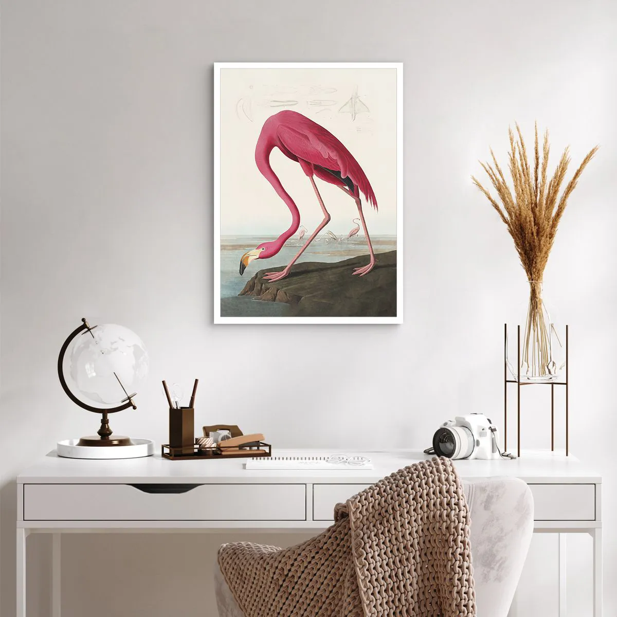 Poster - Curious Creature - 50x70 cm