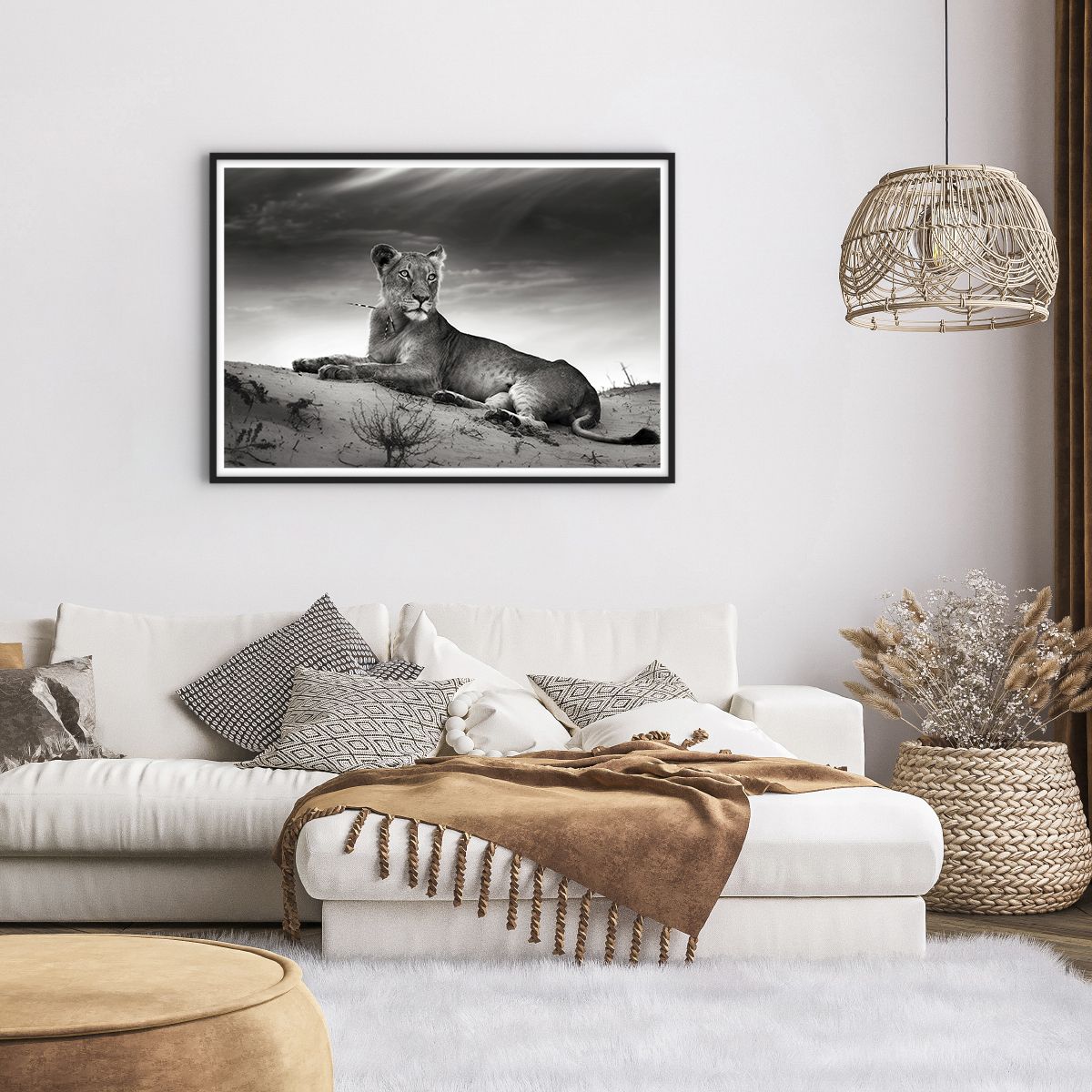 Poster in cornice nera Arttor 50x70 cm - Il riposo della regina del deserto  - Animali, Leone, Deserto, Africa, Safari, Per il Salotto, Per la Camera