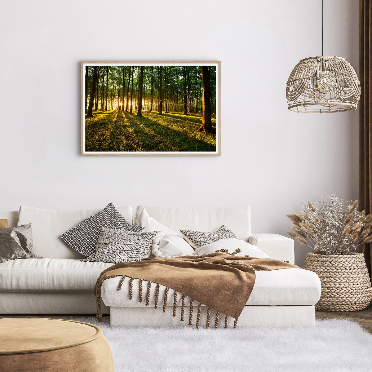 Affiche dans un chêne clair Paysage, Affiche dans un chêne clair Forêt, Affiche dans un chêne clair La Nature, Affiche dans un chêne clair Des Arbres, Affiche dans un chêne clair Rayons Du Soleil