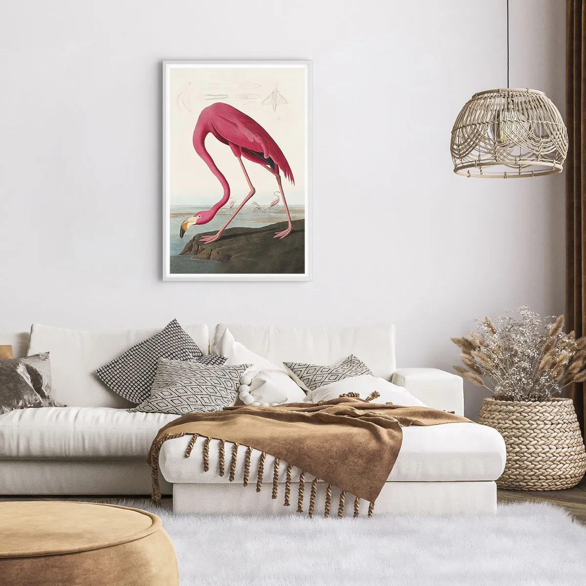 Poster in white frmae - Curious Creature - 61x91 cm