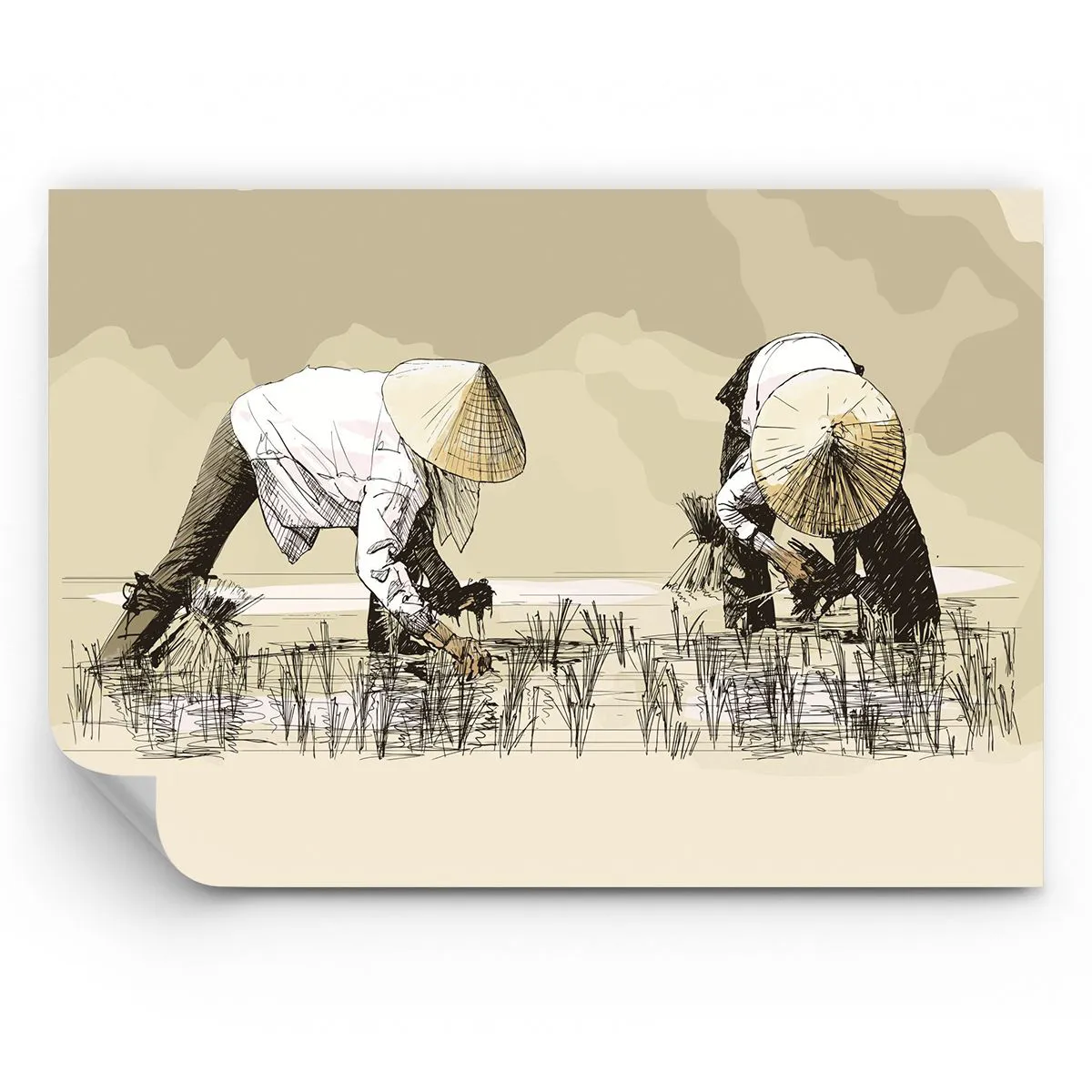 Papel de Parede Premium Sand - Boa colheita  - Ásia, Plantação de Arroz, Arrozal - 100x70 cm