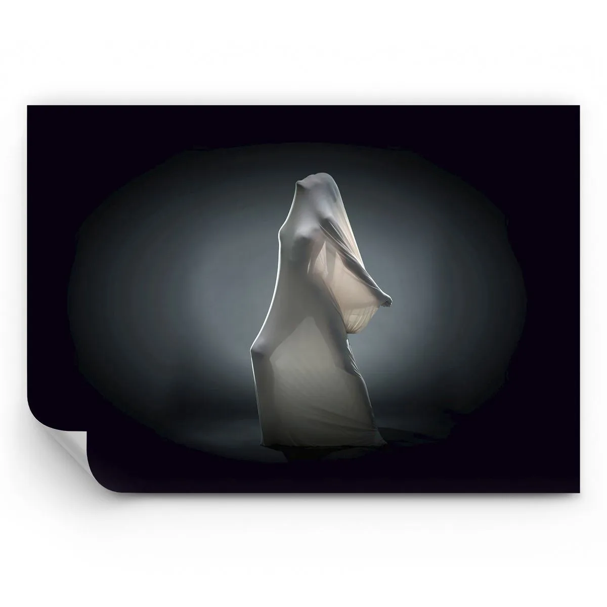 Custom Wallpaper Standard Eco - Hidden Desires - Woman, Dance, Piece