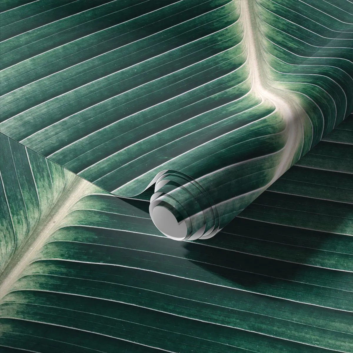 Fototapetă personalizată Standard Eco - Ritmul naturii - Abstracția, Frunză verde, Grafică