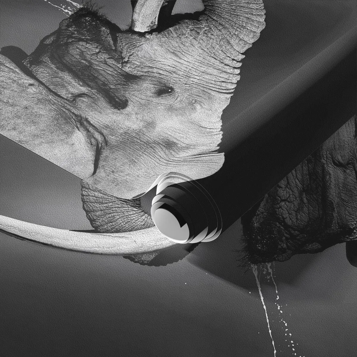 Papier Peint Photo Premium Sand - Photographie en noir et blanc d'un éléphant - 100x70cm - Oui, c'est bon maintenant - Décoration murale moderne pour le salon et la chambre ARTTOR