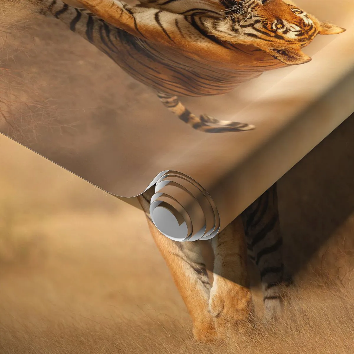 Fototapeta Samoprzylepna Deluxe Sticker - Przed atakiem - Zwierzęta, Tygrys, Afryka - 100x70 cm