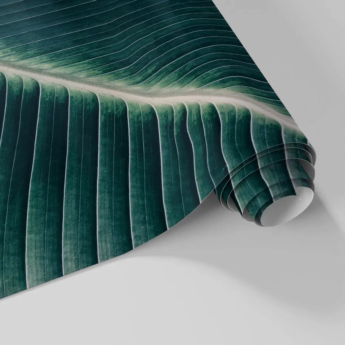 Fototapetă personalizată Standard Eco - Ritmul naturii - Abstracția, Frunză verde, Grafică