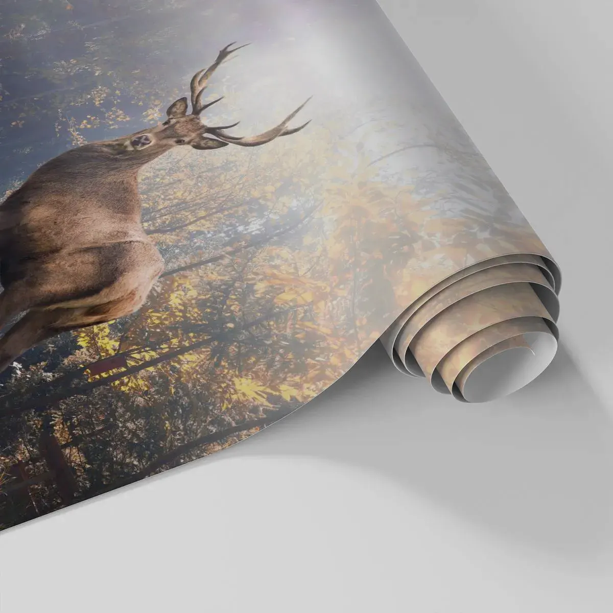 Papier Peint Photo Standard Eco - Toute sa majesté - Paysage, Cerf, Forêt - 350x256 cm