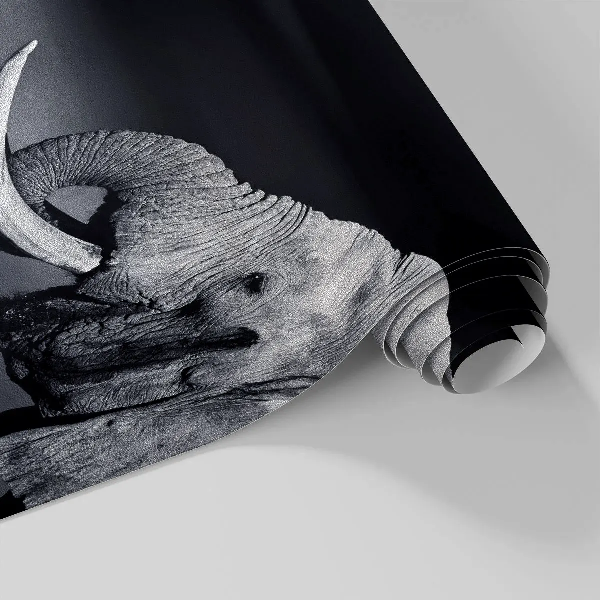 Papier Peint Photo Premium Sand - Photographie en noir et blanc d'un éléphant - 100x70cm - Oui, c'est bon maintenant - Décoration murale moderne pour le salon et la chambre ARTTOR