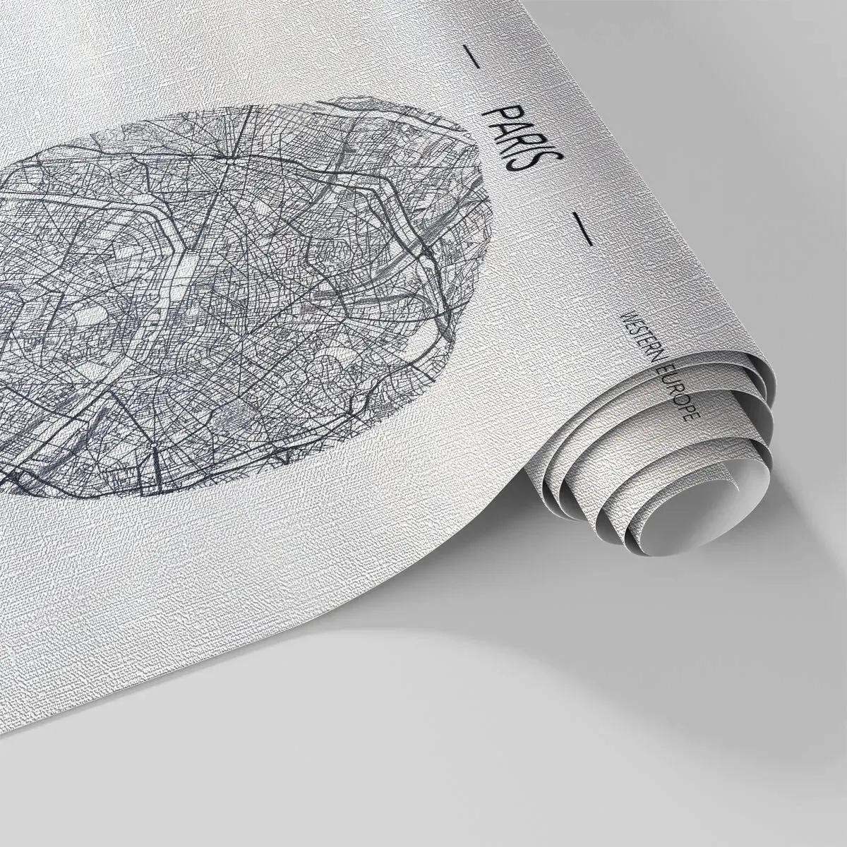 Fotótapéta Premium Canvas - Párizs anatómiája - Térkép, Párizs, Franciaország - 400x280 cm