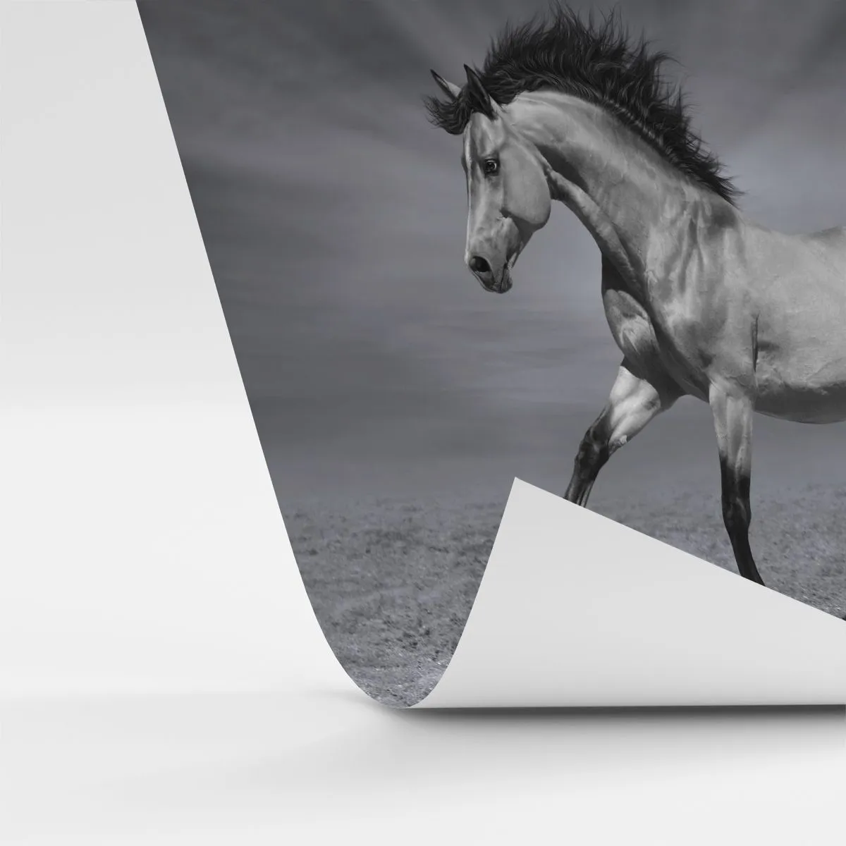 Tapet Standard Eco - Un cal alb-negru alergând pe un fundal deșertic - 100x70cm - Născut pentru a încânta - Decorațiune modernă pentru perete pentru living și dormitor ARTTOR