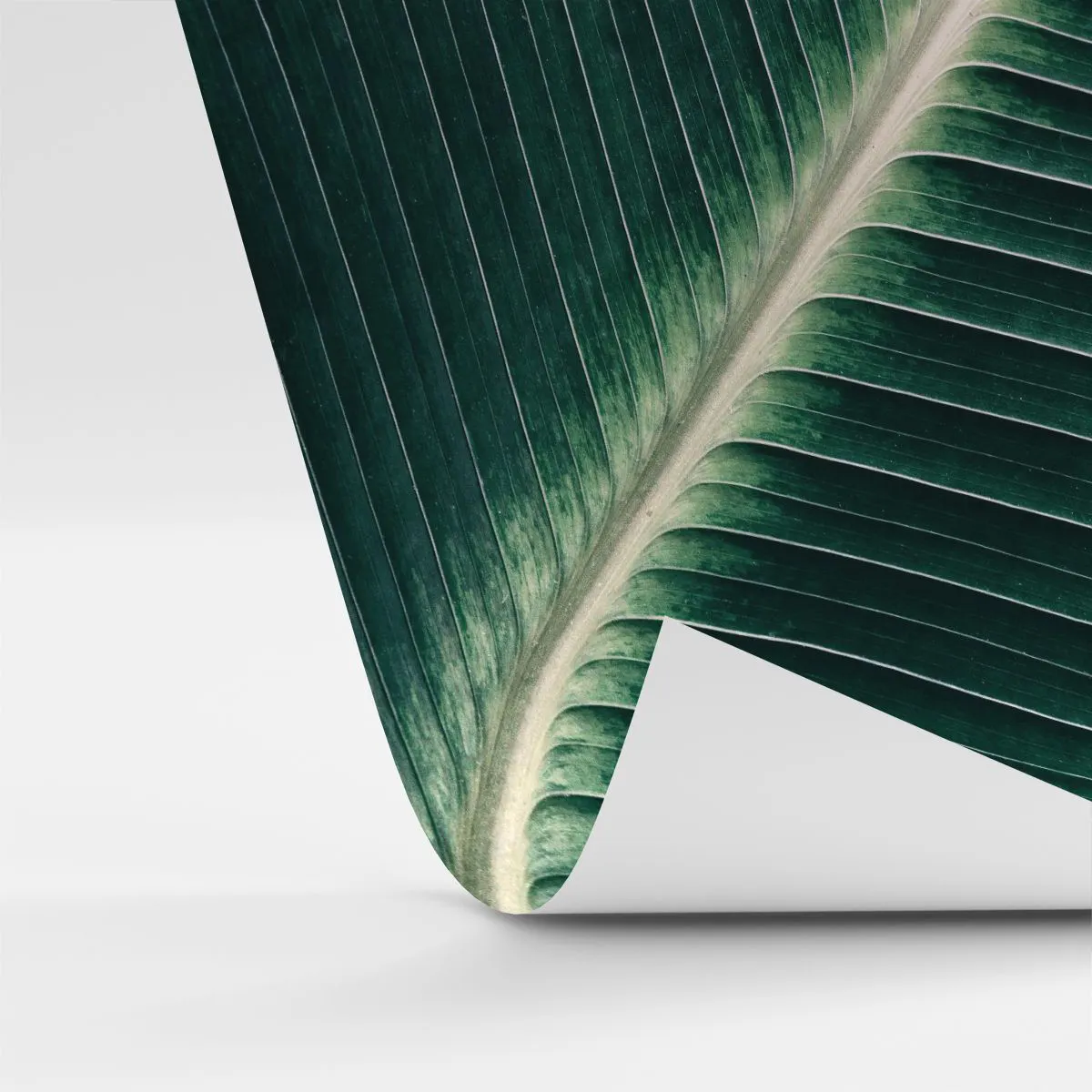 Fototapetă personalizată Standard Eco - Ritmul naturii - Abstracția, Frunză verde, Grafică