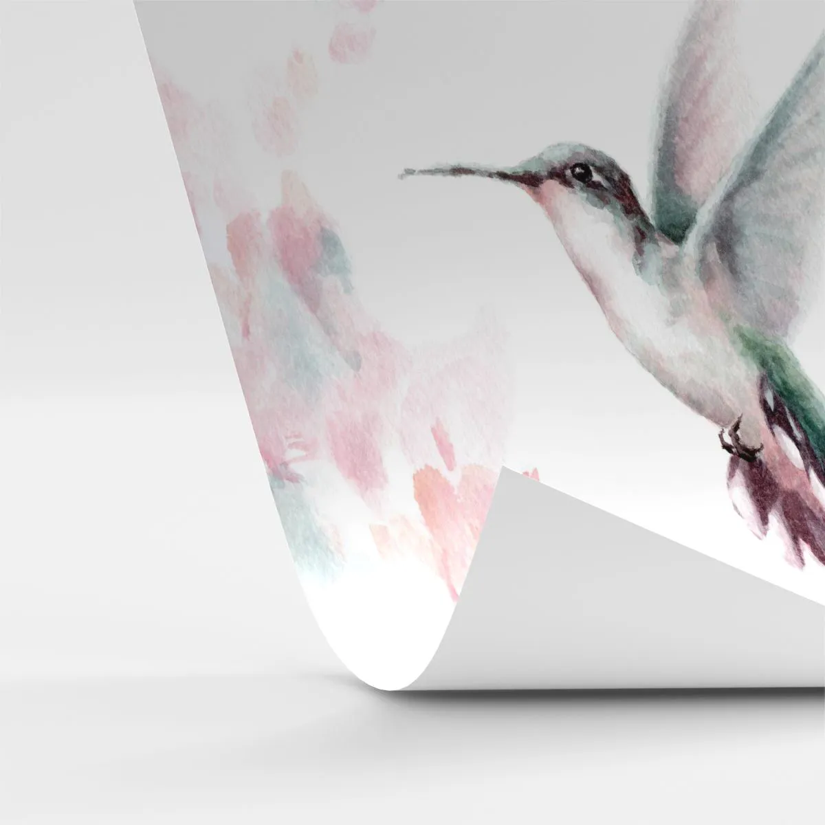 Papel de Parede Standard Eco - Preso em agitação - Beija Flor, Pássaro, Pedaço - 250x175 cm