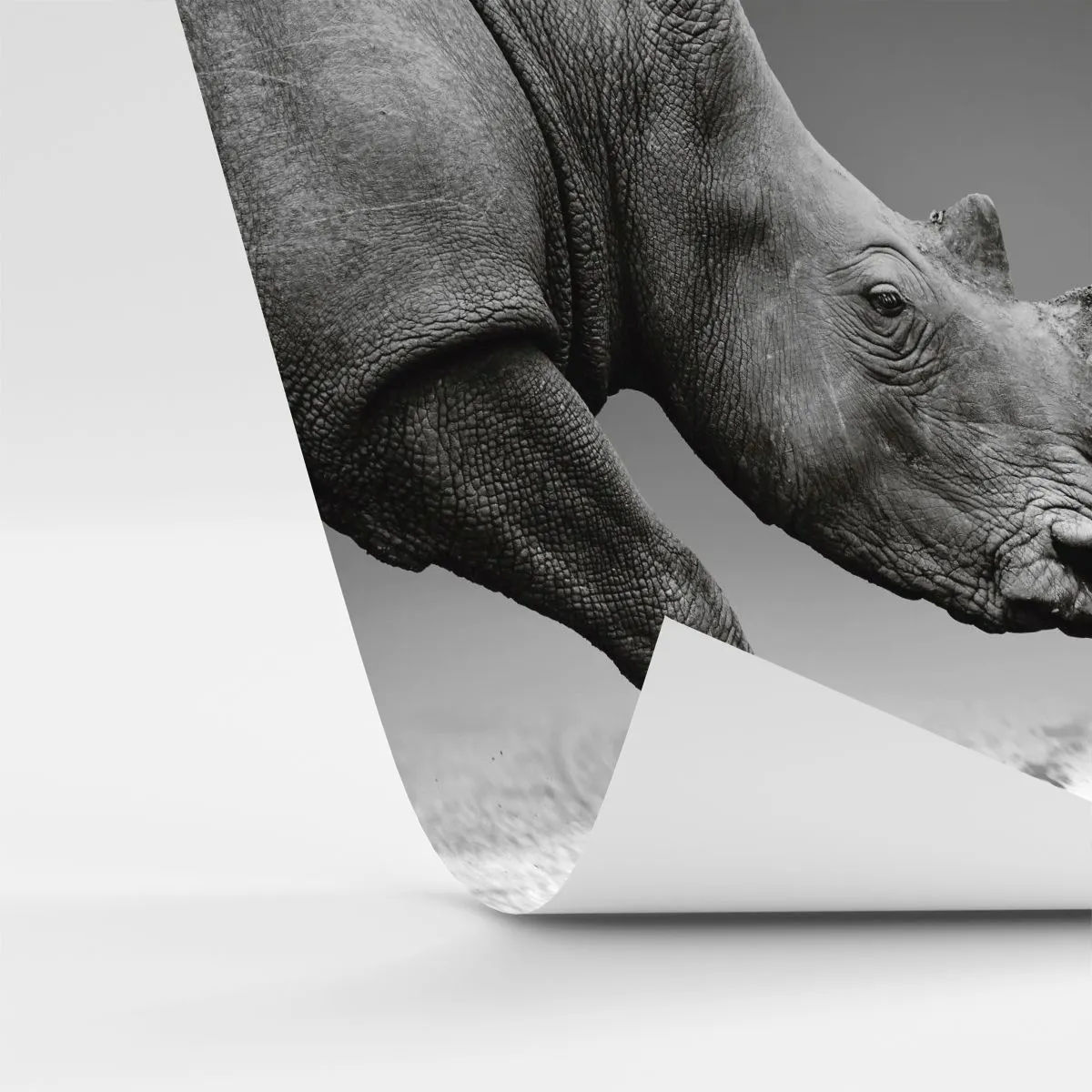 Maßgeschneiderte Fototapete Standard Eco - Unaufhaltsame Stärke - Nashorn, Tiere, Afrika