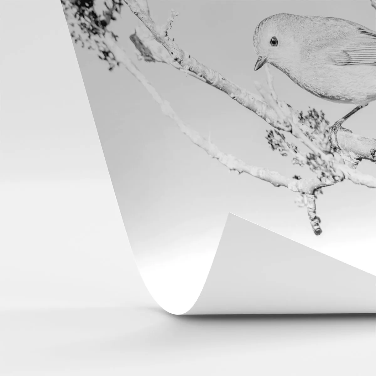 Fototapeta Standard Eco - Zimné ráno - Svetlý, Vták, Príroda - 350x256 cm