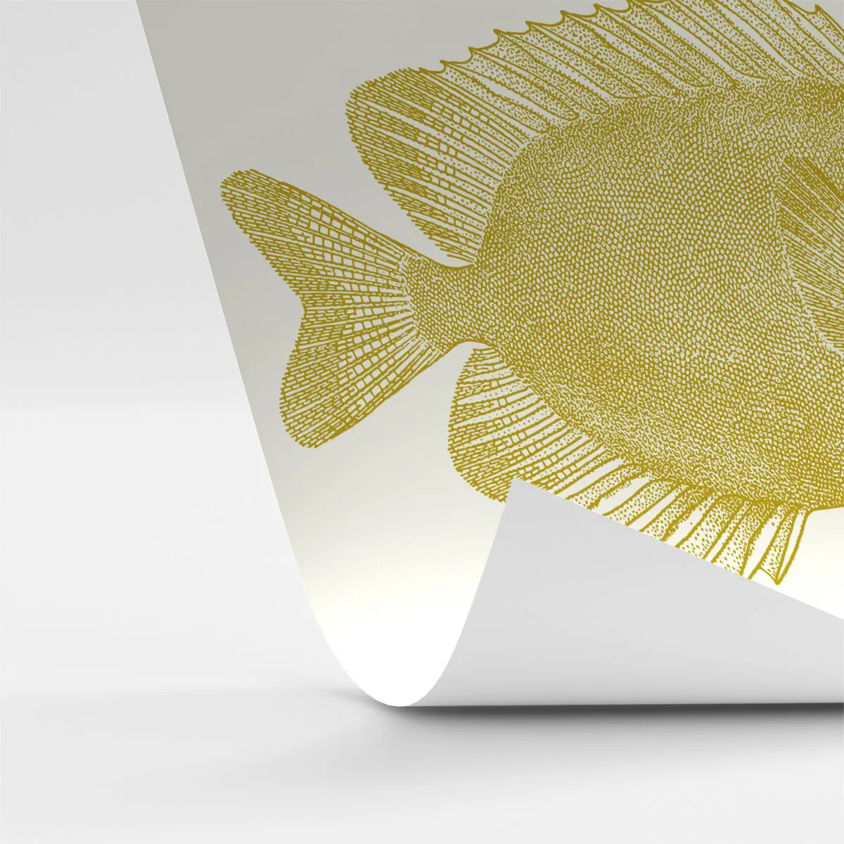 Fototapeta Standard Eco - Prostě ryba - Ryba, Pobřeží, Zvíře - 300x210 cm