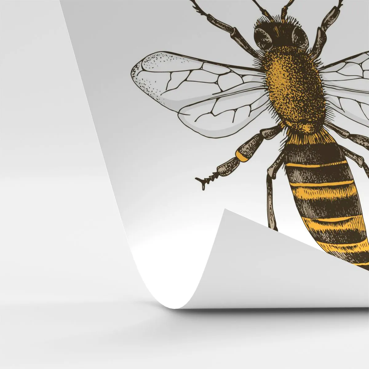 Tapet Standard Eco - Frumoasă și bună - Albină, Insectă, Natură - 350x256 cm