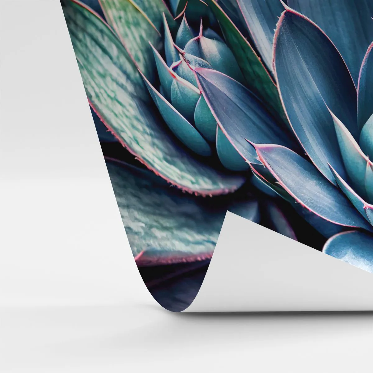 Fotomural Standard Eco - Fuerza vital - flores, Botánica, suculentas - 300x210 cm