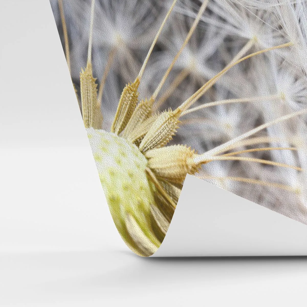 Fotomurali Premium Sand - Subito prima del decollo - Fiore, Pianta, Natura - 150x105 cm