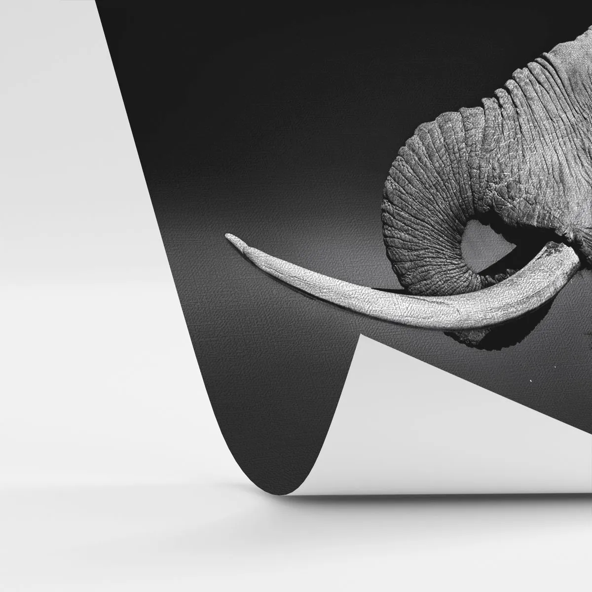 Fototapeta Premium Canvas - Ano, teď je to dobré - Zvířata, Slon, Afrika - 100x70 cm