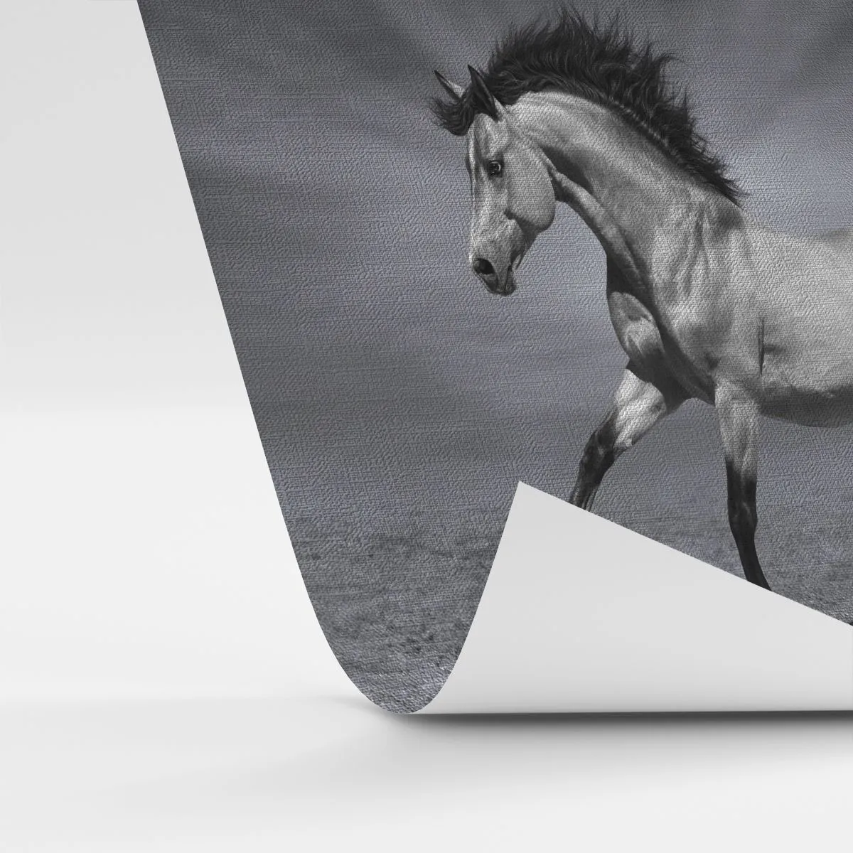 Fototapete Premium Canvas - Ein schwarz-weißes Pferd in einer dynamischen Pose in der Wüste. - 100x70cm - Geboren um Freude zu bereiten - Moderne Wanddekoration für Wohnzimmer und Schlafzimmer ARTTOR