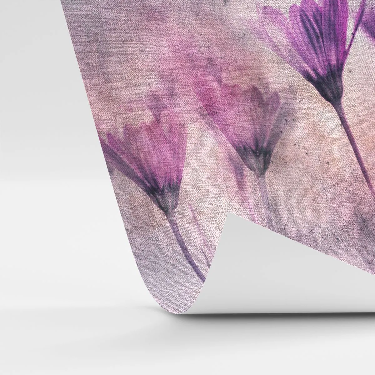 Fototapet Premium Canvas - Blommornas sömn - Blommor, Bit, Trädgård - 250x175 cm