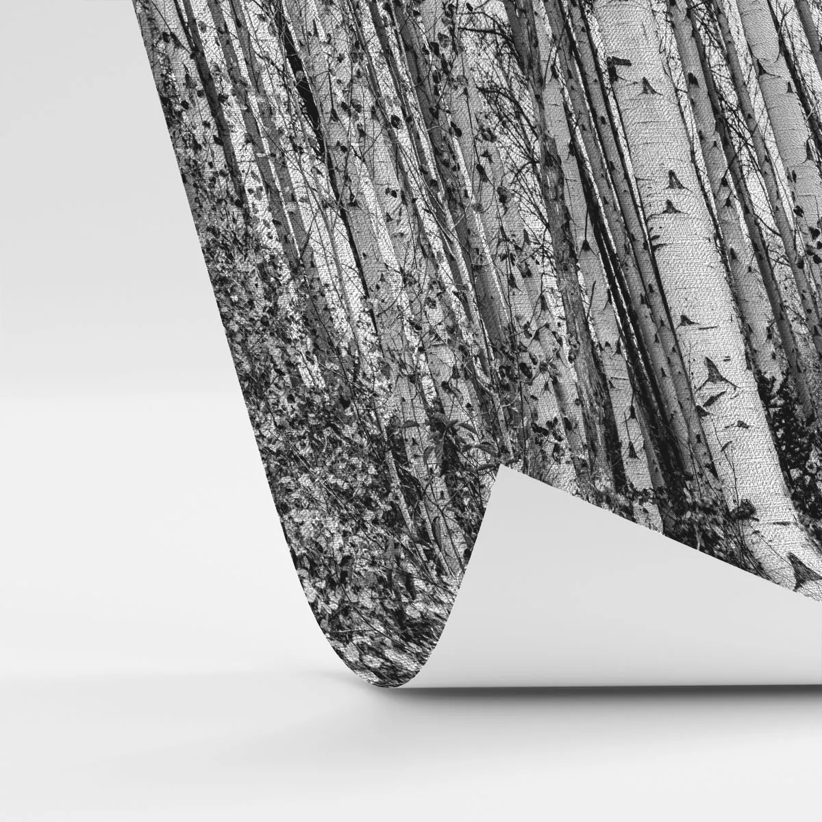 Fototapete Premium Canvas - Schwarz-weiße Birken im Wald - 100x70cm - Birkenkolonnade - Moderne Wanddekoration für Wohnzimmer und Schlafzimmer ARTTOR