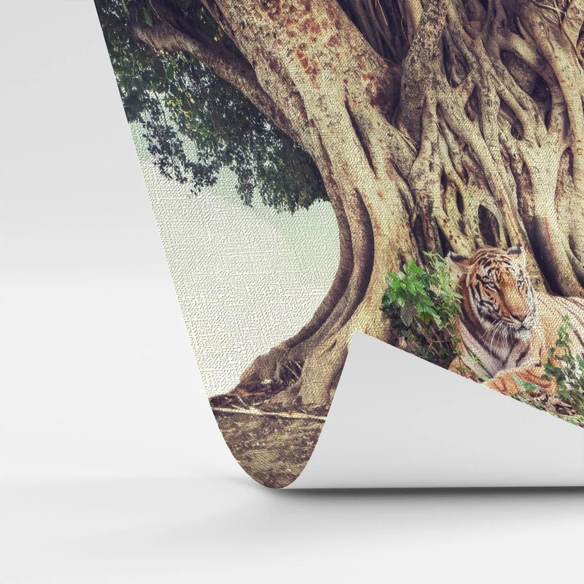 Fototapete Premium Canvas - Ein Tiger ruht unter einem ausladenden Baum - 100x70cm - Blick aus dem Buch Genesis - Moderne Wanddekoration für Wohnzimmer und Schlafzimmer ARTTOR