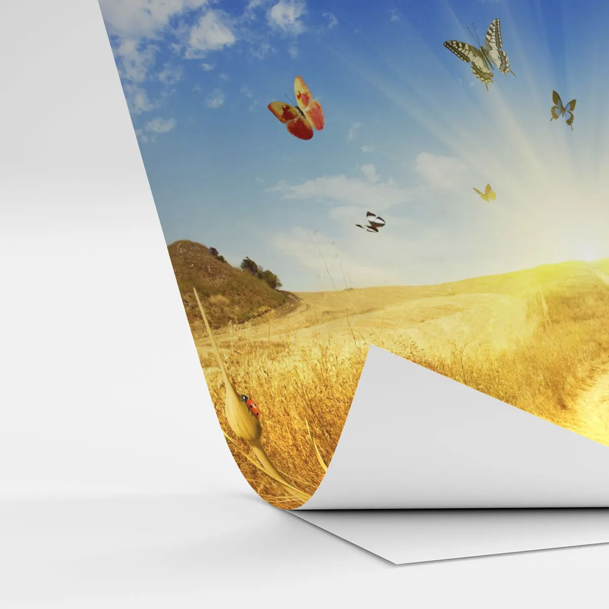 Papel de parede personalizado Adesivo Deluxe Sticker - E como não amar o verão? - Paisagem, Borboletas, Natureza