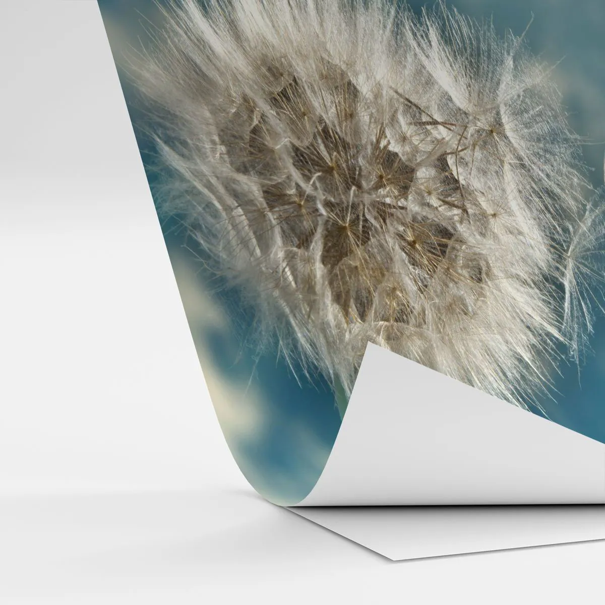 Fototapeta Samolepicí Deluxe Sticker - Dech anděla - Příroda, indické léto, Kus - 350x256 cm