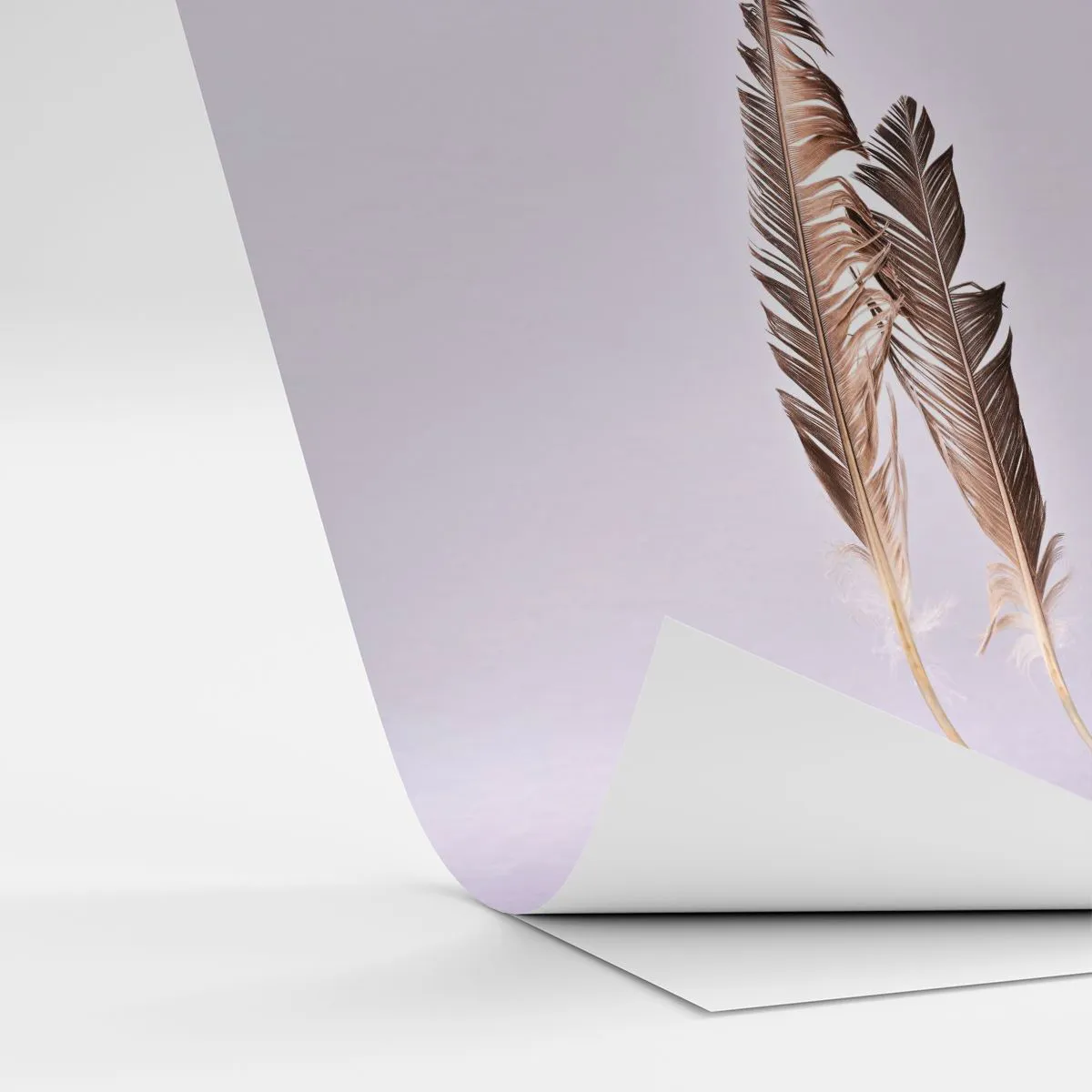 Fototapet på mål Selvklæbende Deluxe Sticker - Mod intetheden - Fuglefjer, Stykke, Grafik