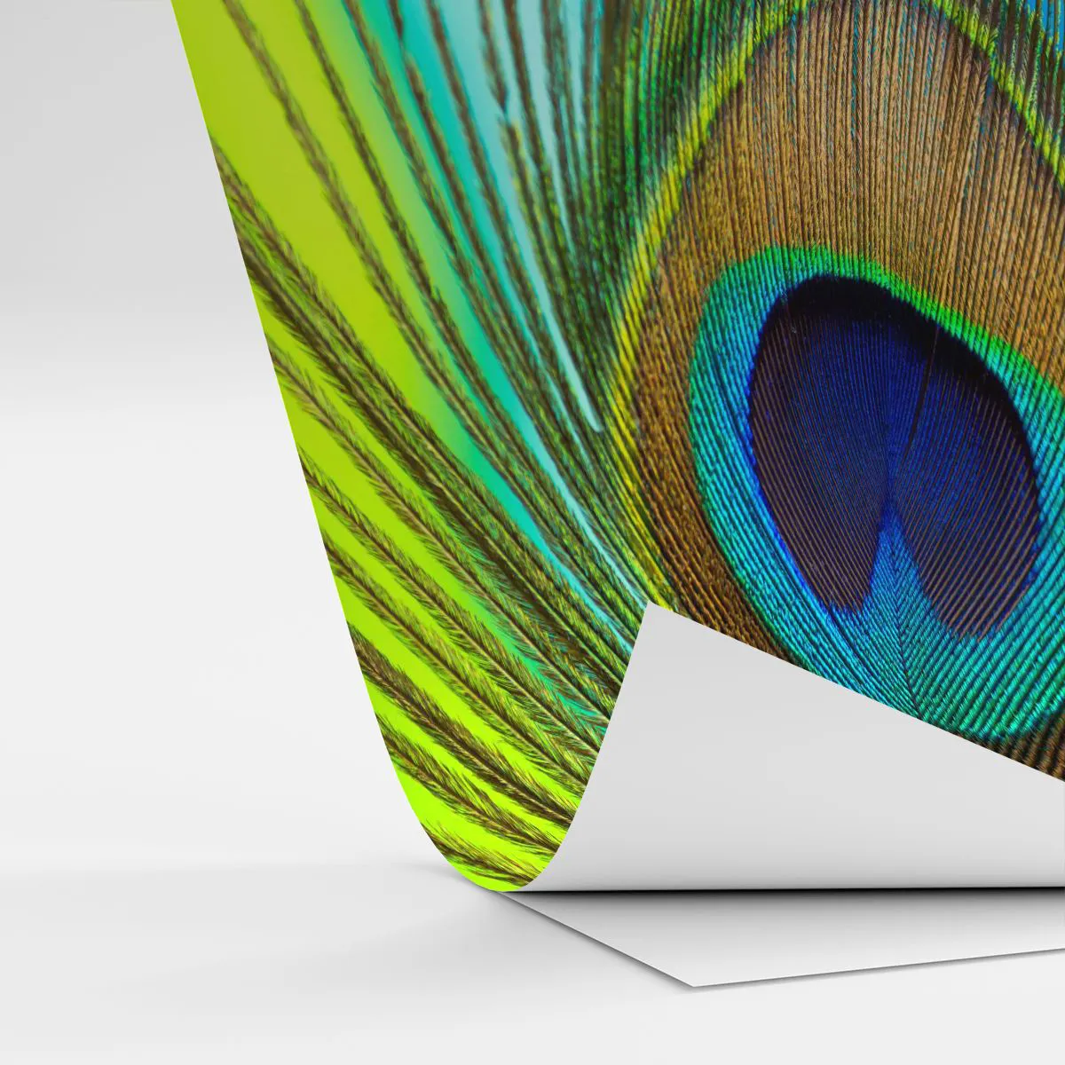 Self-Adhesive Photo Wallpaper Deluxe Sticker - Eye to Eye - Abstraction, Peacock Feather, Piece - 100x70 cm