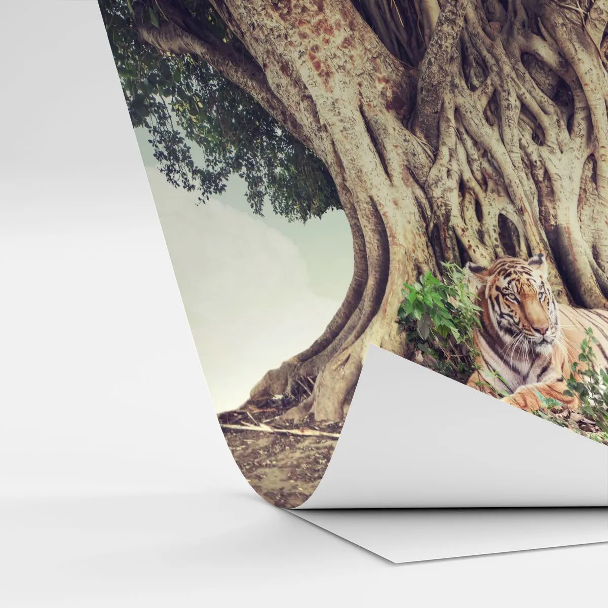 Papier Peint Autocollant Deluxe Sticker - Vue du Livre de la Genèse - tigre du Bengale, Inde, Paysage - 100x70 cm