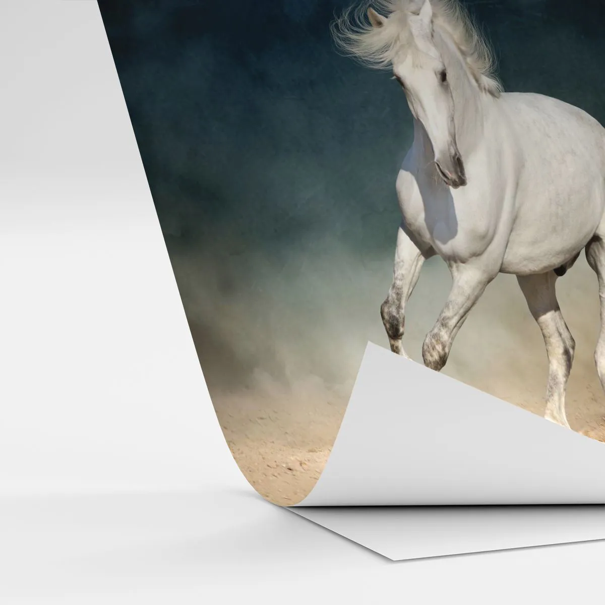 Zelfklevend Fotobehang Deluxe Sticker - Vrijheid in zijn pure staat - Paard, Dier, Wit - 450x315 cm