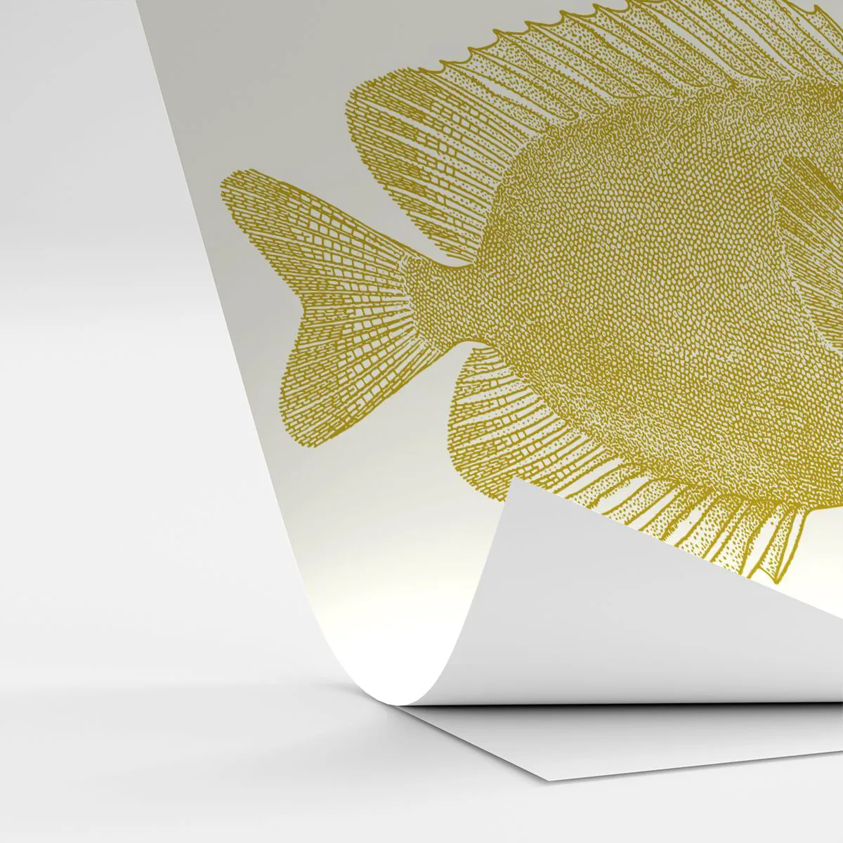 Papier peint sur mesure Autocollant Deluxe - Du poisson et c'est tout - Poisson, Bord de mer, Animal