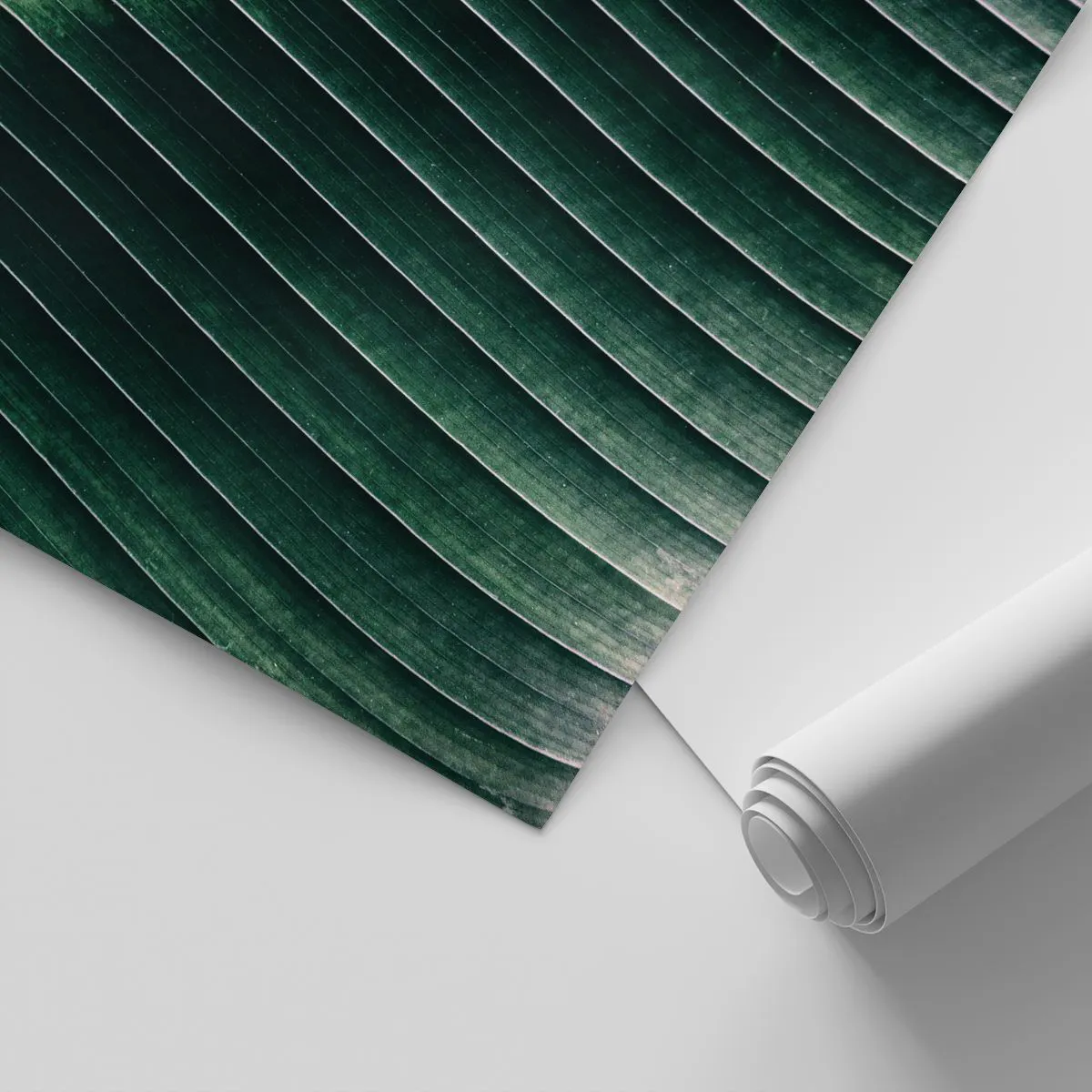 Fototapetă personalizată Standard Eco - Ritmul naturii - Abstracția, Frunză verde, Grafică