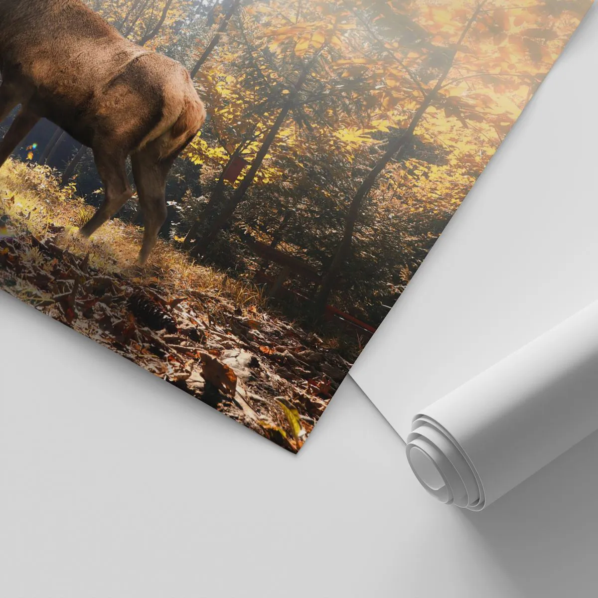 Papier Peint Photo Standard Eco - Toute sa majesté - Paysage, Cerf, Forêt - 350x256 cm