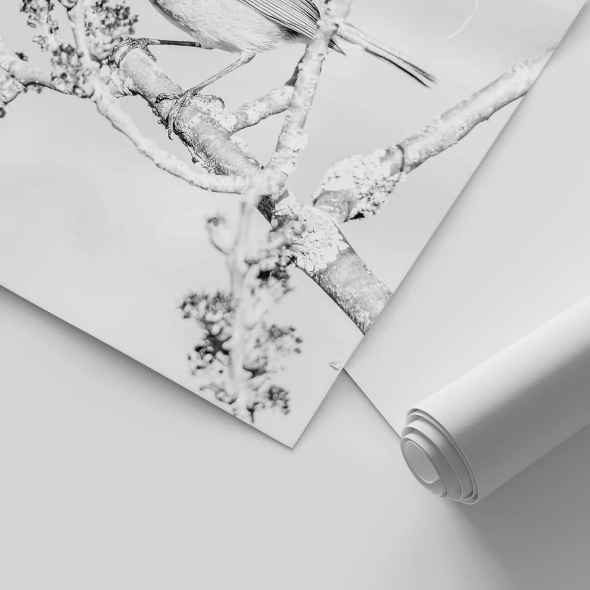 Fototapeta Standard Eco - Zimné ráno - Svetlý, Vták, Príroda - 350x256 cm