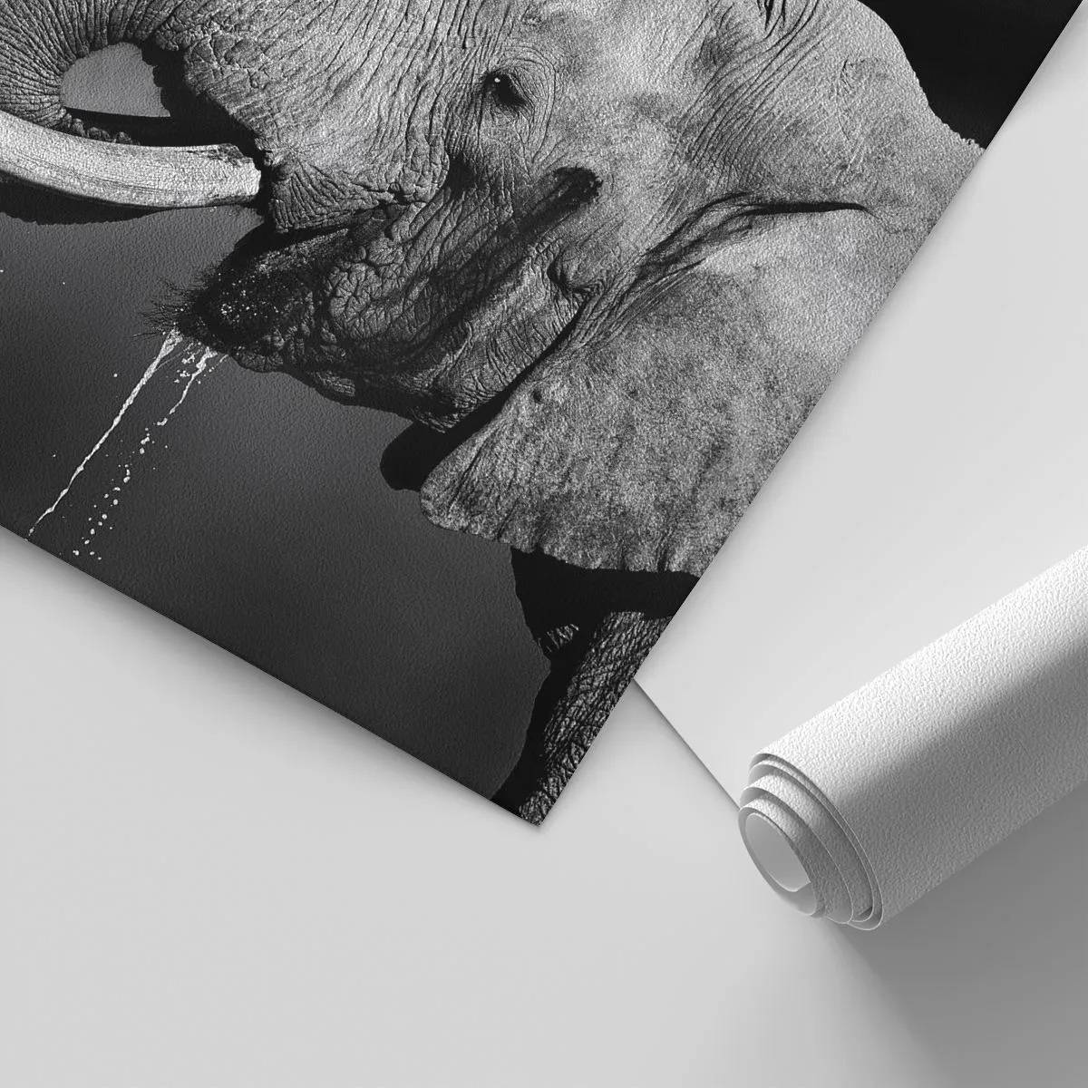 Papier Peint Photo Premium Sand - Photographie en noir et blanc d'un éléphant - 100x70cm - Oui, c'est bon maintenant - Décoration murale moderne pour le salon et la chambre ARTTOR