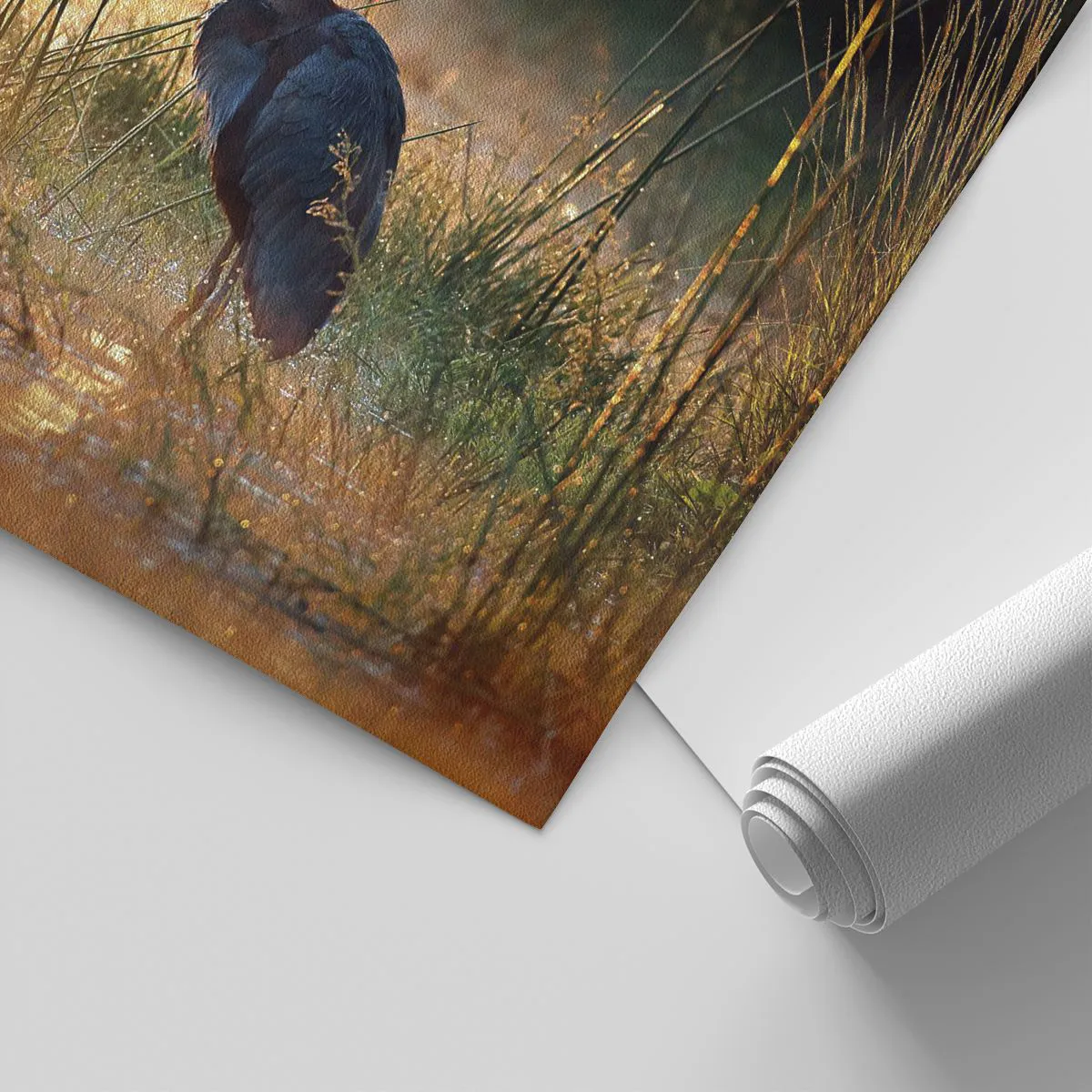 Custom Wallpaper Premium Sand - Stop Taking Pictures - Heron, Bird, Nature