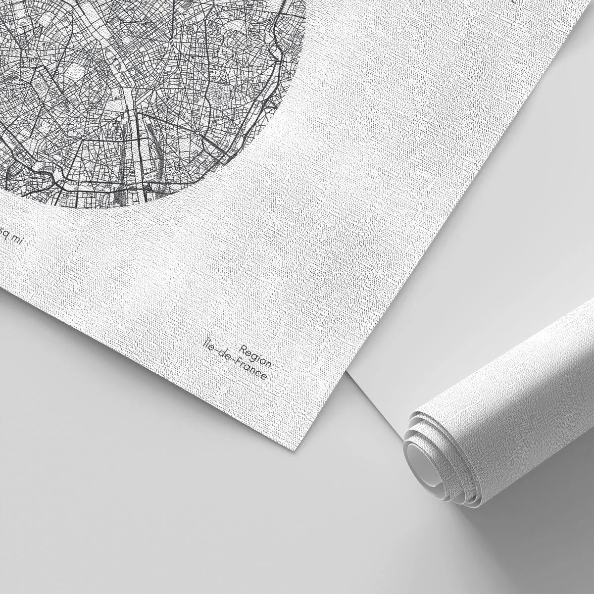 Fotótapéta Premium Canvas - Párizs anatómiája - Térkép, Párizs, Franciaország - 400x280 cm