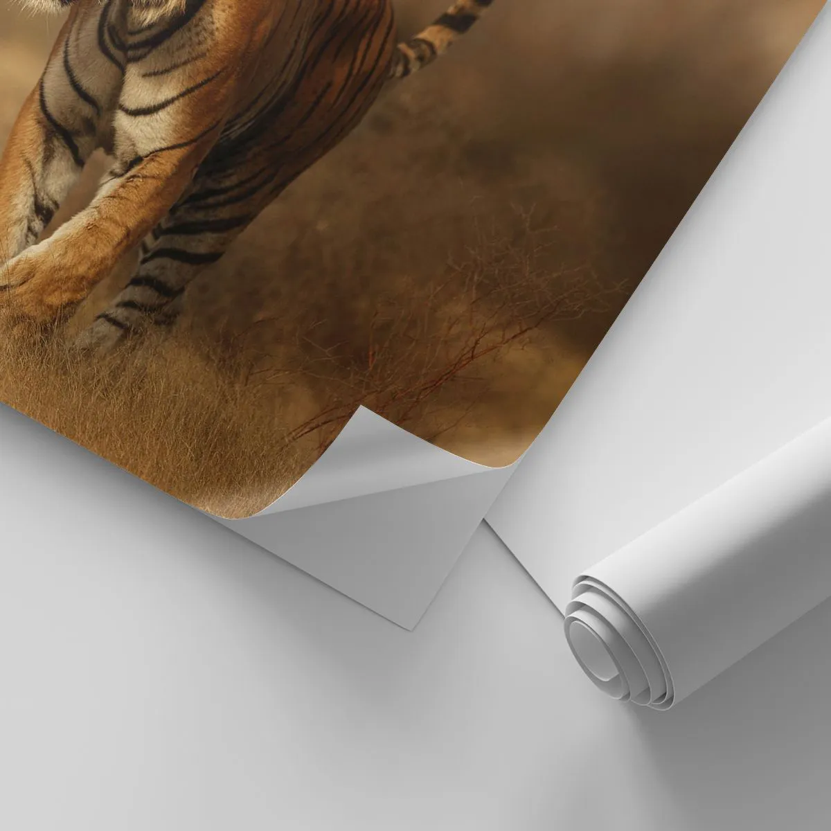 Fototapeta Samoprzylepna Deluxe Sticker - Przed atakiem - Zwierzęta, Tygrys, Afryka - 100x70 cm