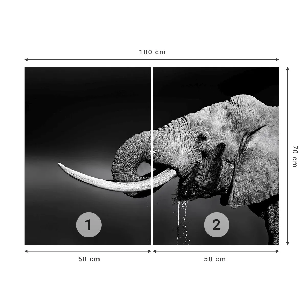 Papier Peint Photo Premium Sand - Photographie en noir et blanc d'un éléphant - 100x70cm - Oui, c'est bon maintenant - Décoration murale moderne pour le salon et la chambre ARTTOR