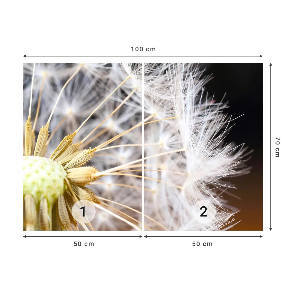 Fototapeta Standard Eco - Makrofotografia púpavy - 100x70cm - Tesne pred odletom - Moderná nástenná dekorácia do obývacej izby a spálne ARTTOR