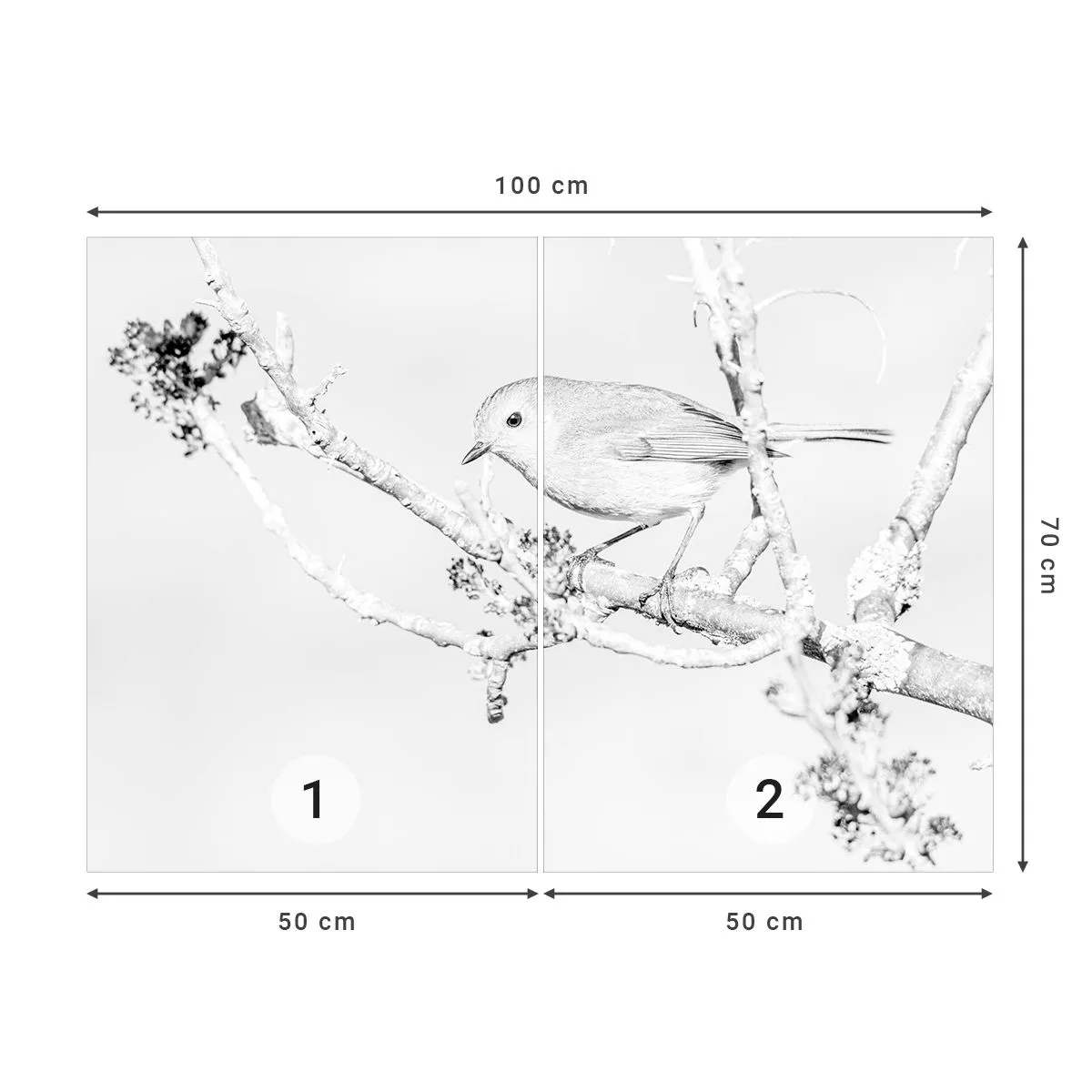 Photo Wallpaper Premium Sand - Winter Morning - Bright, Bird, Nature - 100x70 cm