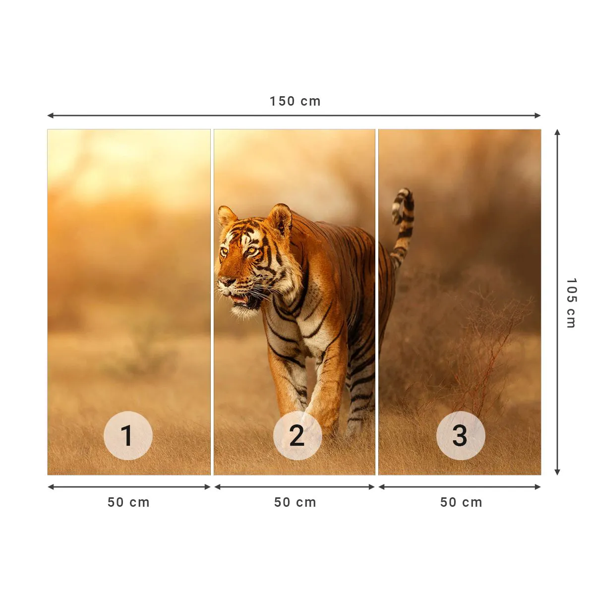 Tapet Premium Sand - Înainte de atac - Animale, Tigru, Africa - 150x105 cm