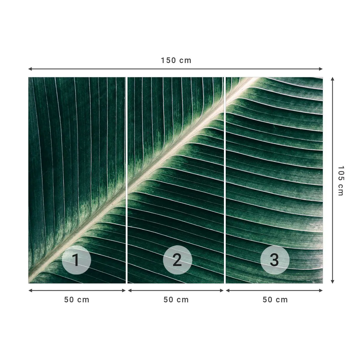 Photo Wallpaper Premium Canvas - Rhythm of Nature - Abstraction, Green leaf, Graphics - 150x105 cm