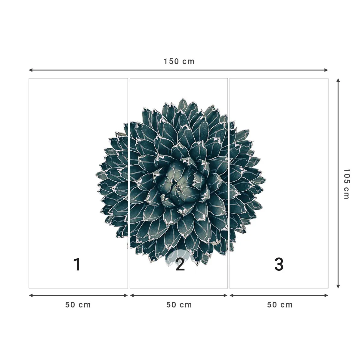 Fototapeta Premium Canvas - Hvězda pouště - Kaktus, Agáve, Grafika - 150x105 cm