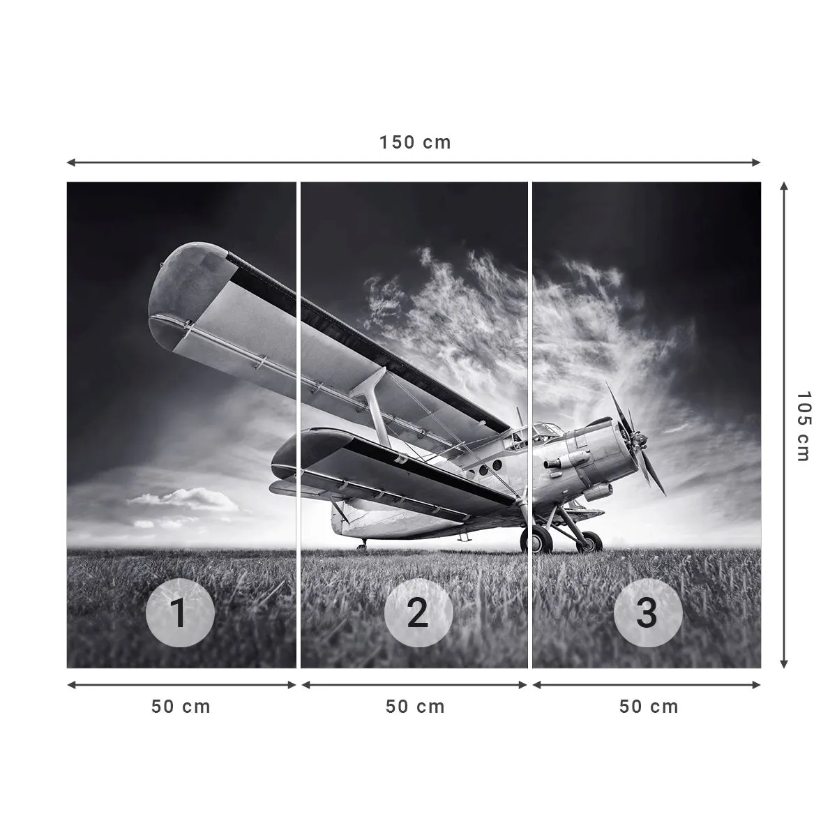 Fotobehang Premium Sand - De gevleugelde zwerver - Vliegtuig, Vliegtuigen, Zwart en wit - 150x105 cm