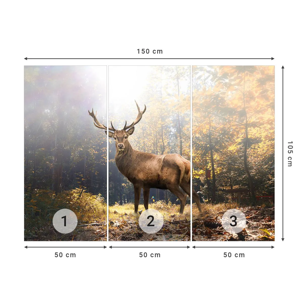 Fototapeta Premium Sand - W pełnym majestacie - Krajobraz, Jeleń, Las - 150x105 cm